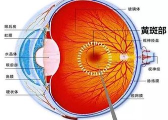 【科普】老年性黃斑變性可以治好嗎？
